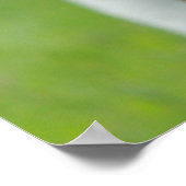 Poster Basset Hound (Coin)