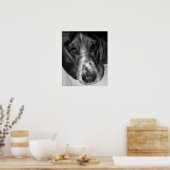 Poster Basset Hound (Cuisine)