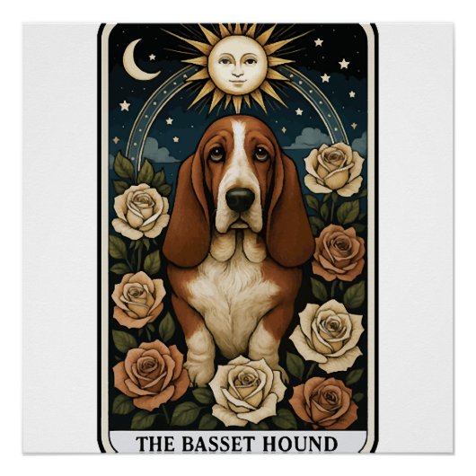 Poster Basset Hound (Devant)