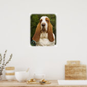 Poster Basset Hound 9L9D-22_2 (Cuisine)