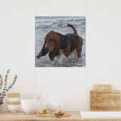 Poster Basset Hound À La Mer (Cuisine)