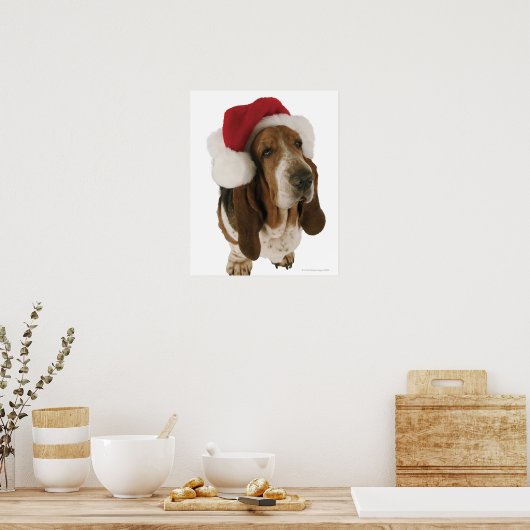 Poster Basset hound à Santa hat (Cuisine)
