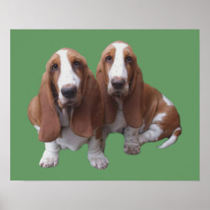 Poster Basset Hound Buddies Print