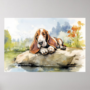 Poster Basset Hound Chien Se Détendre Dans Le Jardin Anim