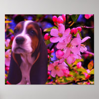 Basset Hound Chiot Blooms Chien Art