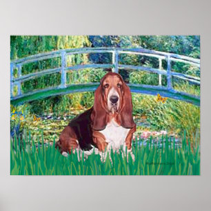 Poster Basset Hound - Pont Lily Pond