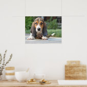 Poster Basset Hound Puppy (Cuisine)