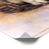 Poster Basset Hounds (Coin)