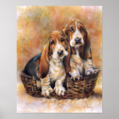 Poster Basset Hounds (Devant)