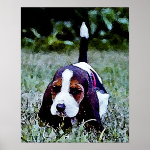 Poster Basset Puppy Walking - Noir Brown Blanc