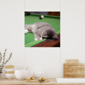 Poster Bassin de jeu Kitten (Cuisine)