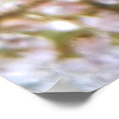 Poster Basslet de fée (Coin)