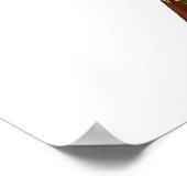 Poster Basson (Coin)