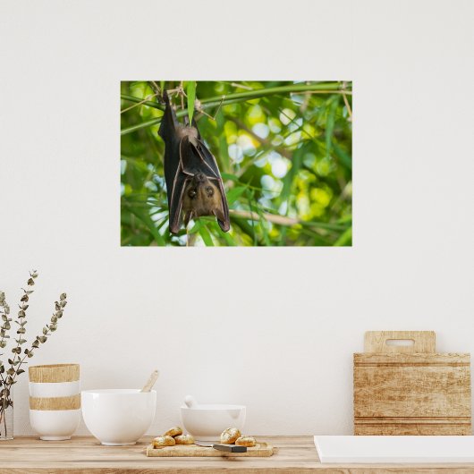 Poster Bat (Cuisine)