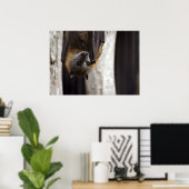 Poster Bat australien (Bureau à domicile)