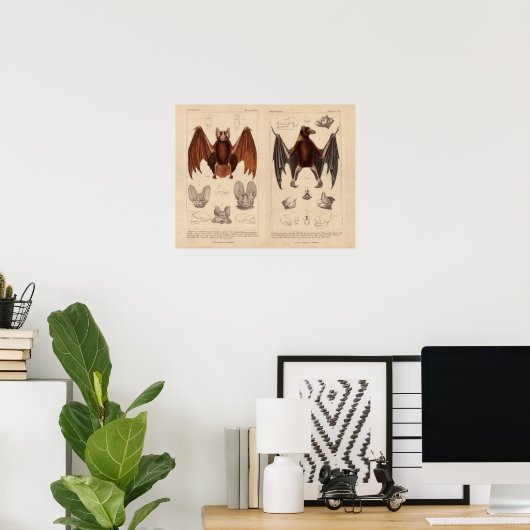 Poster Bat imprimer chauve-souris de fruits et chauve-sou (Bureau à domicile)