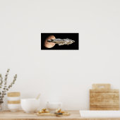 Poster Bataille Cruiser Quitter Orbit (Cuisine)