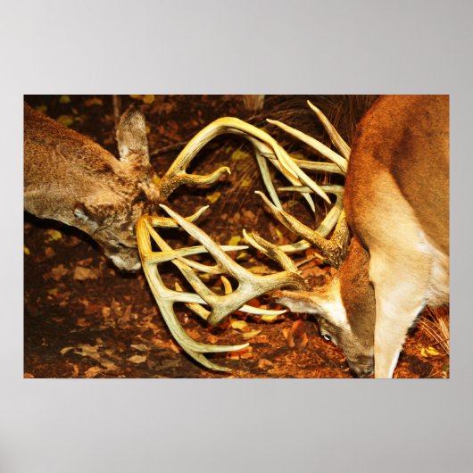 Poster Bataille de Big Bucks (Devant)