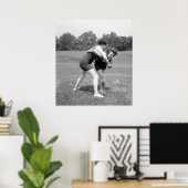 Poster Bataille de chats, début des années 1900 (Bureau à domicile)