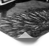 Poster Bataille de Cowpens (Coin)