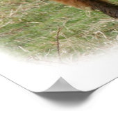 Poster Bataille de Highland 9Y316D-017 (Coin)