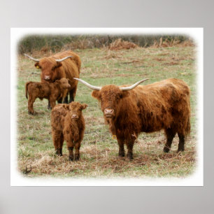 Poster Bataille de Highland 9Y316D-055