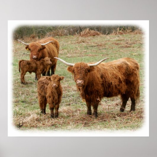 Poster Bataille de Highland 9Y316D-055 (Devant)