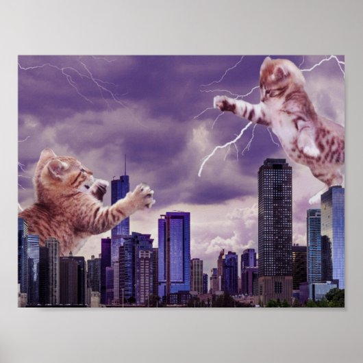 Poster Bataille des Chats (Devant)