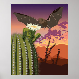 Poster Bataille du sud-ouest de 20 po x 16 po et Saguaro