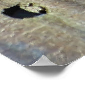 Poster Bataille Mini Dragon (Coin)