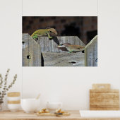 Poster Bataille Mini Dragon (Cuisine)