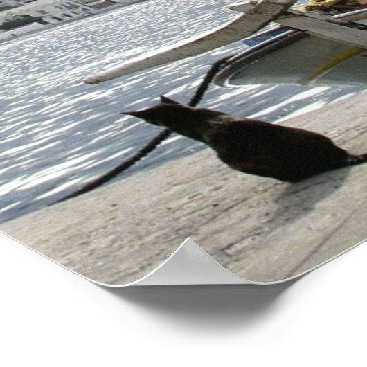 Poster Bateau à lunch pour chat (Coin)