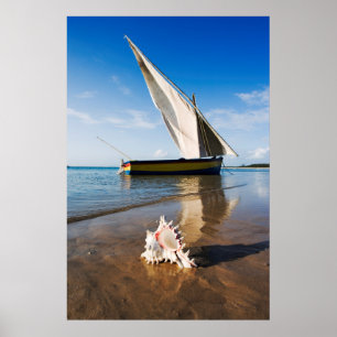 Poster Bateau à voile et Shell   Mozambique, loge de