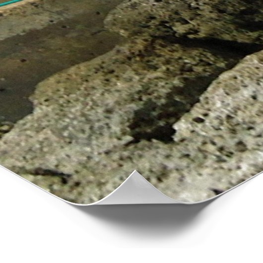 Poster Bateau de croisière à CocoCay (Coin)