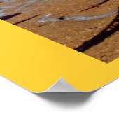 POSTER BATEAU DE PÊCHE PLAGE À GUERNSEY (Coin)