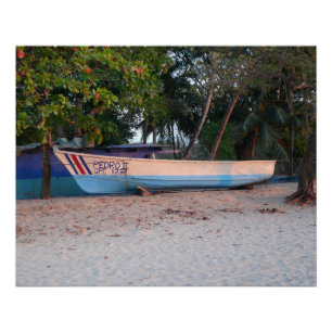 Poster Bateau de pêche sur la plage de Tamarindo, Costa R