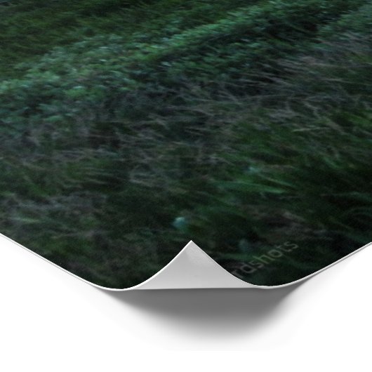 Poster Bateau Sunset (Coin)