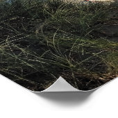 POSTER BATEAUX (Coin)