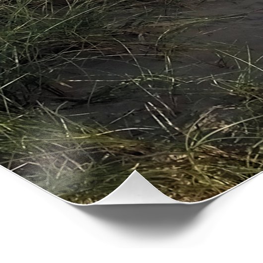 POSTER BATEAUX (Coin)