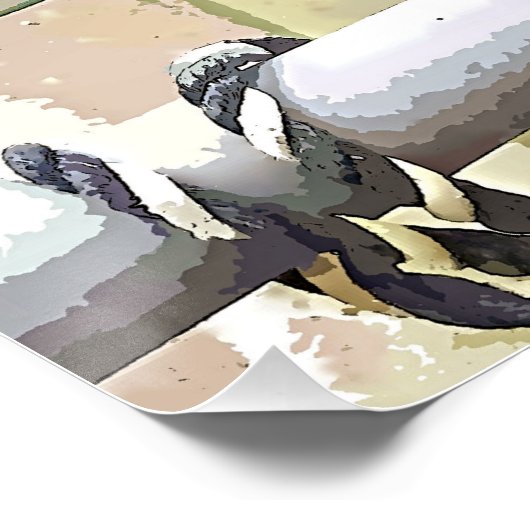 POSTER BATEAUX (Coin)