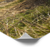 Poster Bateaux À Foule Sur La Rive | Angleterre (Coin)