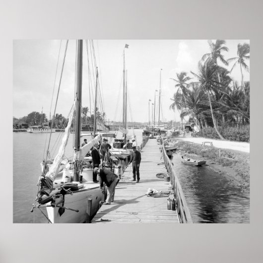 Poster Bateaux à voile de Miami, 1905 (Devant)