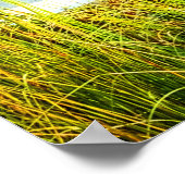 Poster Bateaux au quai (Coin)