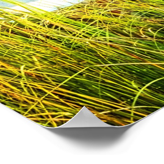 Poster Bateaux au quai (Coin)