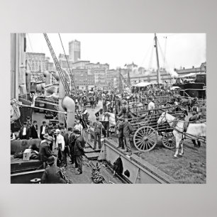 Poster Bateaux de banane de Baltimore