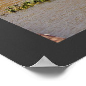 Poster Bateaux de la rivière Black (Coin)