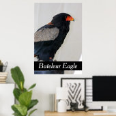 Poster Bateleur Eagle (Bureau à domicile)