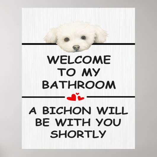Poster Bathroom Bichon Frise (Devant)