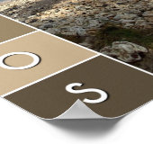 Poster Bathsheba, Barbade (Coin)