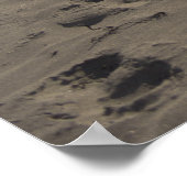 Poster Bâtiment Châteaux En Sable (Coin)